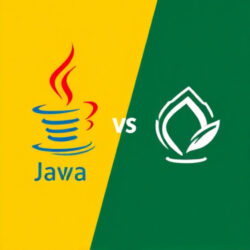 Compare Java vs Spring Boot - The Civil India